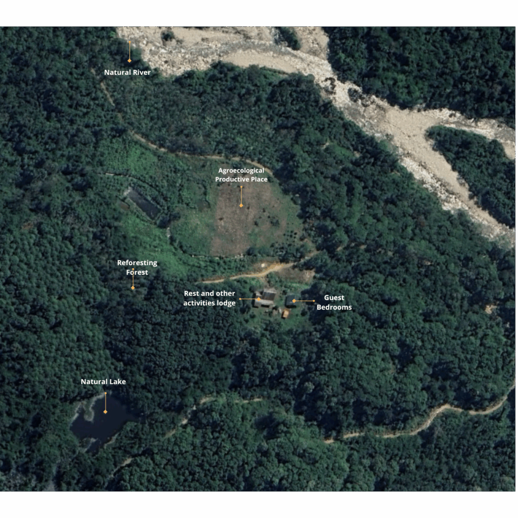 copia de diseño sin título